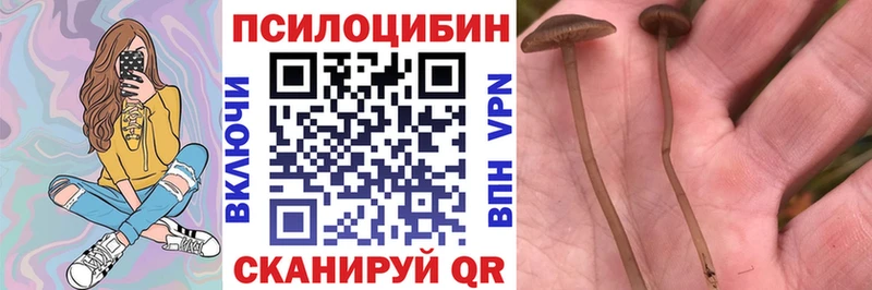 Галлюциногенные грибы ЛСД  OMG ТОР  Хасавюрт 